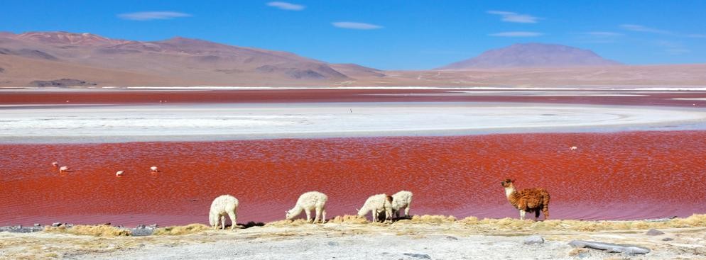 Boliwia – wspaniałe krajobrazy, przystępne ceny oraz brak tłumów turystów –  to powinna być wystarczająca rekomendacja, żeby odwiedzić Boliwie w 2013 roku. Jedną z największych atrakcji turystycznych w Boliwii jest Salar de Uyuni – solnisko, pozostałość po wyschniętym słonym jeziorze w na obszarze płaskowyżu Altiplano w Andach.