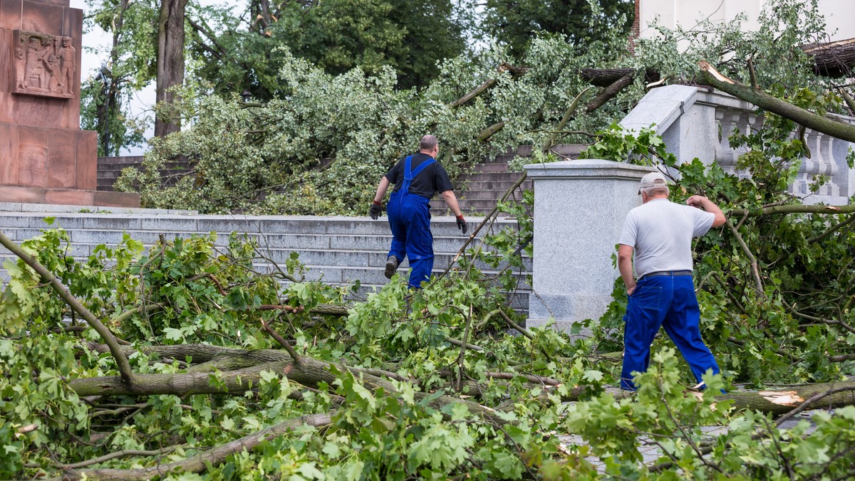 Nawet półtora roku potrwa usuwanie skutków zniszczeń spowodowanych huraganem, który w ub. tygodniu przeszedł nad lasami Nadleśnictwa Gniezno (Wielkopolskie). Zniszczeniu uległ drzewostan na powierzchni ok. 6 tys. ha – to 1/3 wszystkich lasów na tym terenie.