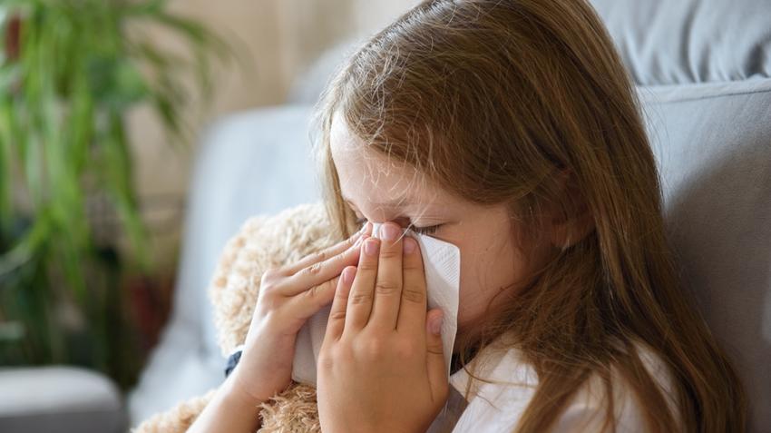 megfázás poratka allergia gyermek