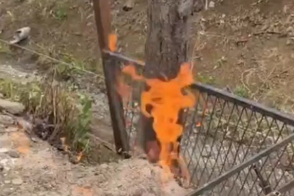 (VIDEO) Vatra iz zemlje: Kod Novog Sada probijena gasna cev, vatrogasci na terenu