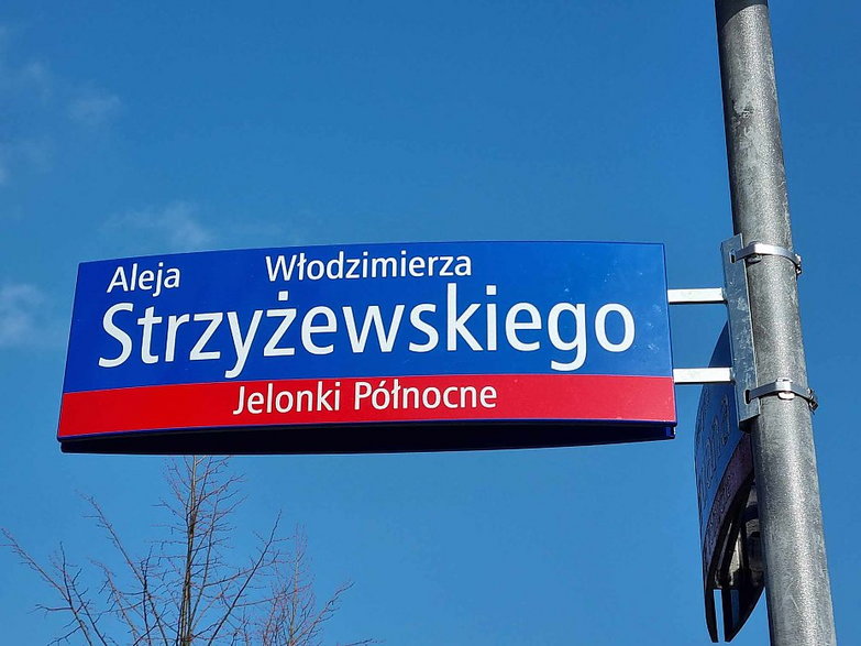 Aleja Strzyżewskiego w parku Górczewska