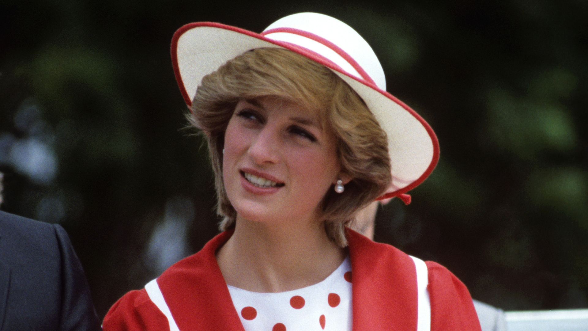 Diana de. Princess Diana 1995.