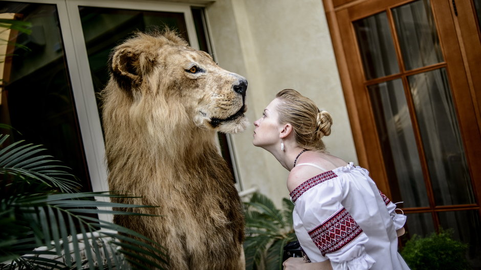 Mieszkanka Kijowa ogląda wypchanego lwa w rezydencji porzuconej przez obalonego i zbiegłego do Rosji prezydenta Wiktora Janukowycza (czerwiec 2014 r.)