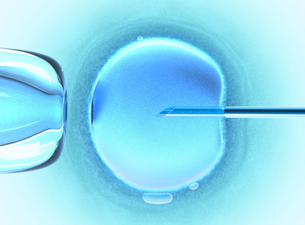 Bruksela pozywa Polskę za in vitro. "Chodzi o zasady"