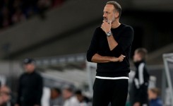 Liga niemiecka. Matarazzo nowym trenerem Hoffenheim