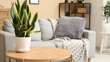 ma je w domu niemal każdy. wkrótce zostaną zakazane i znikną ze sklepó