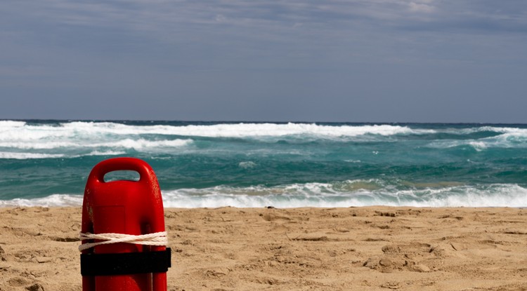 Újra összeállt a Baywatch Fotó: Getty Images