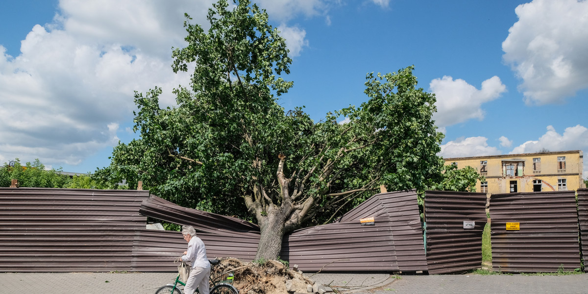 Burze w Polsce wyrządziły olbrzymie zniszczenia. Te zdjęcia budzą grozę.
