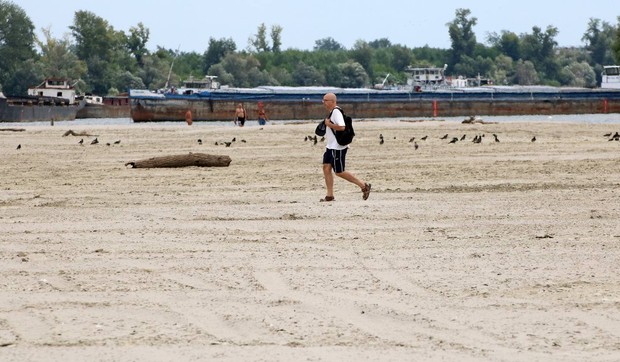 Nizak vodostaj na Dunavu na plaži Oficirac