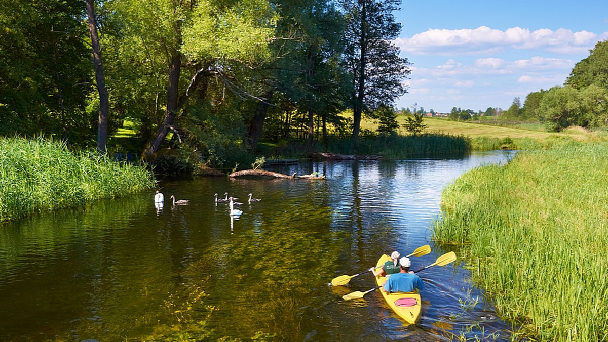 Przyrodnicy porządkują i udrażniają rzekę Krutynię, przepływająca przez Mazurski Park Krajobrazowy. Po zimie sprzątają śmieci i usuwają konary tak, by rzeka była spławna - poinformował PAP we wtorek strażnik parku Maciej Głąbiński.