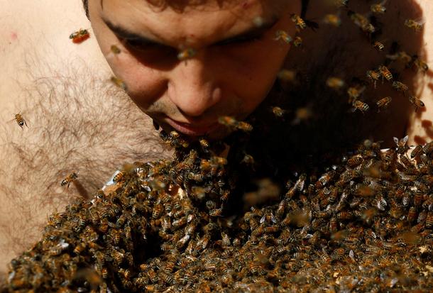 Mohamed Hagras, 31, looks on during his perform Beard of Bee before the upcoming Egyptian Agricult