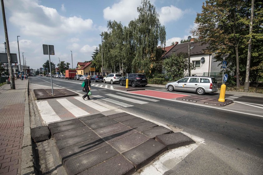 Potrącił prof. Vetulaniego. Usłyszał wyrok