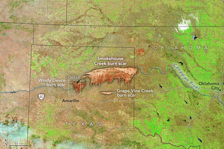 Ślad po pożarach w Teksasie uchwycono z satelity