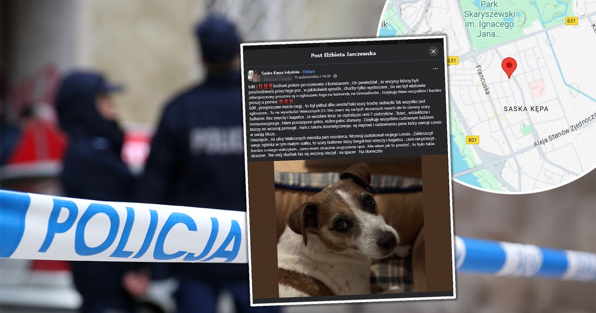 Zwykły spacer zamienił się w horror. Mały Leoś zagryziony, właścicielka ranna