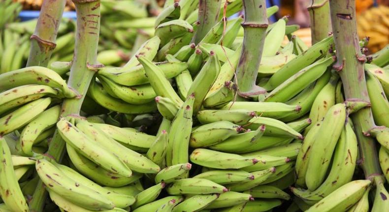 Plantain not being imported, Government of Ghana says