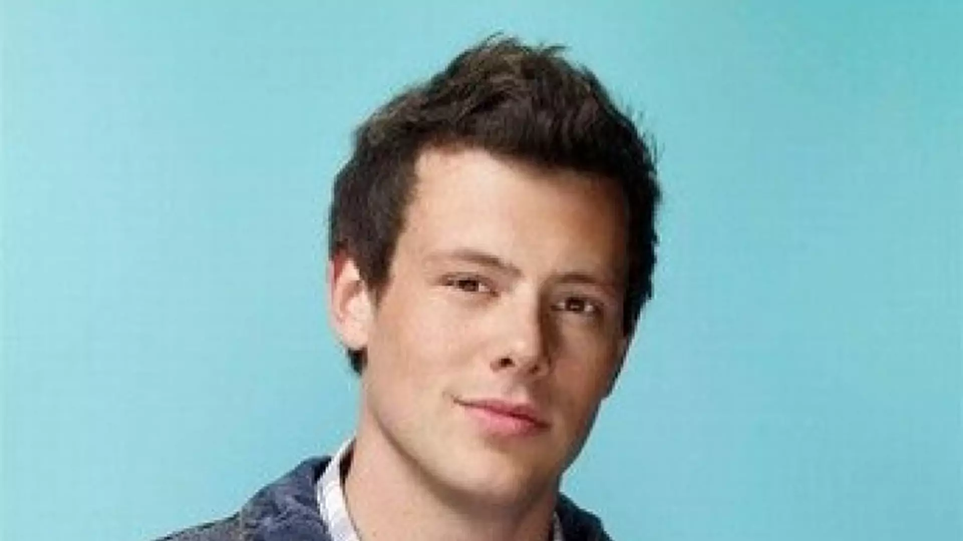 Cory Monteith - Albumy fanów