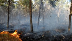 Od nowego roku kara do 30 tys. zł m.in. za palenie tytoniu w miejscach niewyznaczonych