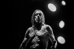 Iggy Pop prezentuje "Strung Out Johnny" . Nowy album "Every Loser" w styczniu 2023