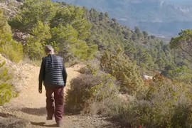 Imala je 33 godine kada je otišla u planinu da se osami: Živela je VODE I STRUJE, samo sa jednom mačkom, a evo kako je prevazišla STRAH OD SAMOĆE