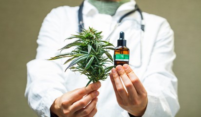 Orvosi kannabisz: milyen betegségekre lehet jó? A szakgyógyszerész válaszol