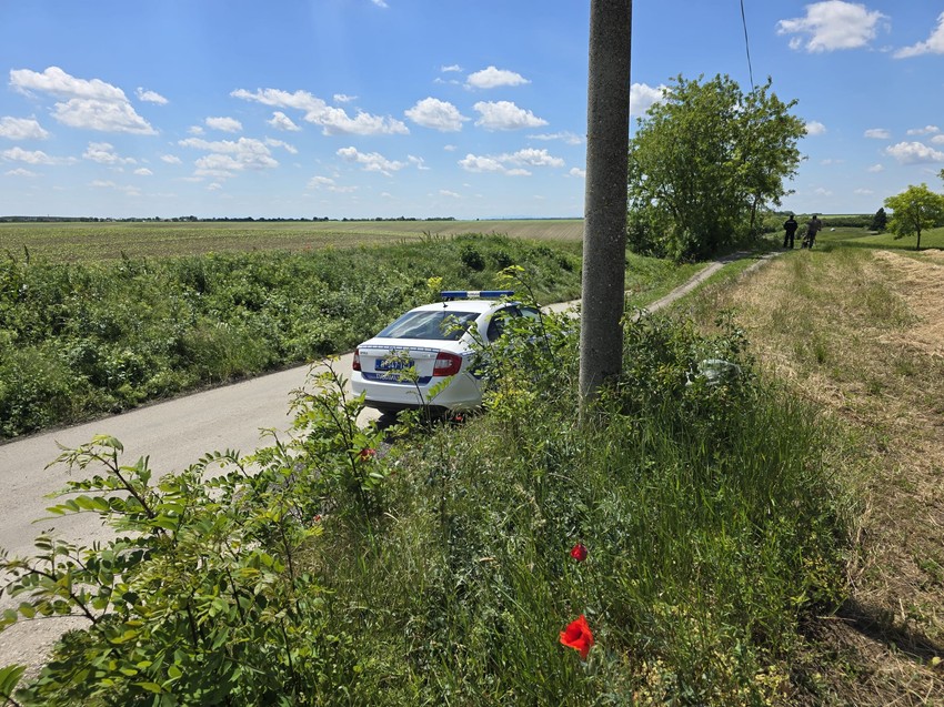 Potraga za telom Aleksandra Nešovića u Ljukovu