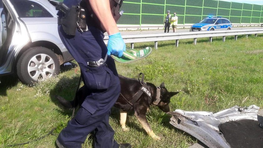 Wypadek na A1 pod Łodzią. Policja ma sprawcę