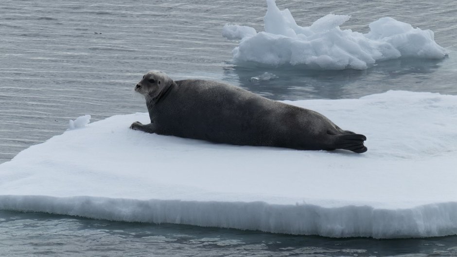 Svalbard