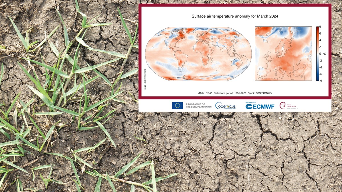 Rekordy temperatur na świecie. Eksperci nie mają dobrych wiadomości