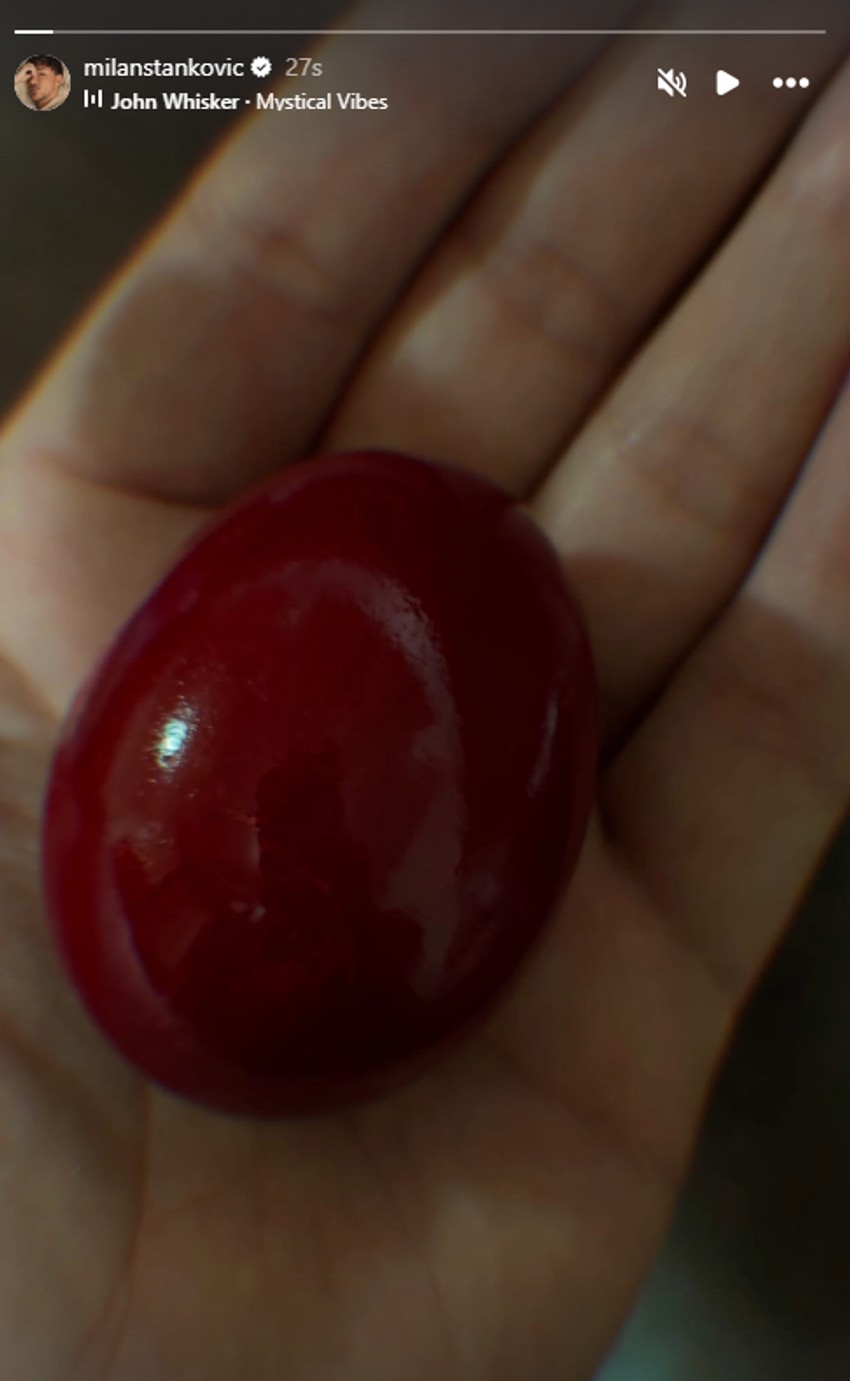 Milan Stanković se oglasiona veliki petak