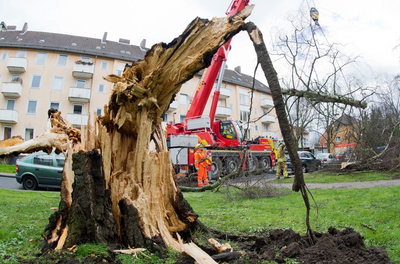 Sprzątanie skutków wichury w Hanowerze.