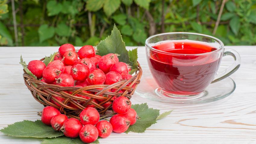 kromoterápia magas vérnyomás esetén idősek magas vérnyomása kezelésére