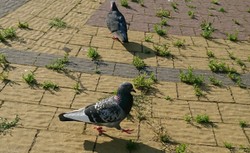 Sony Xperia X, czyli ewolucja zamiast rewolucji [TESTUJEMY]