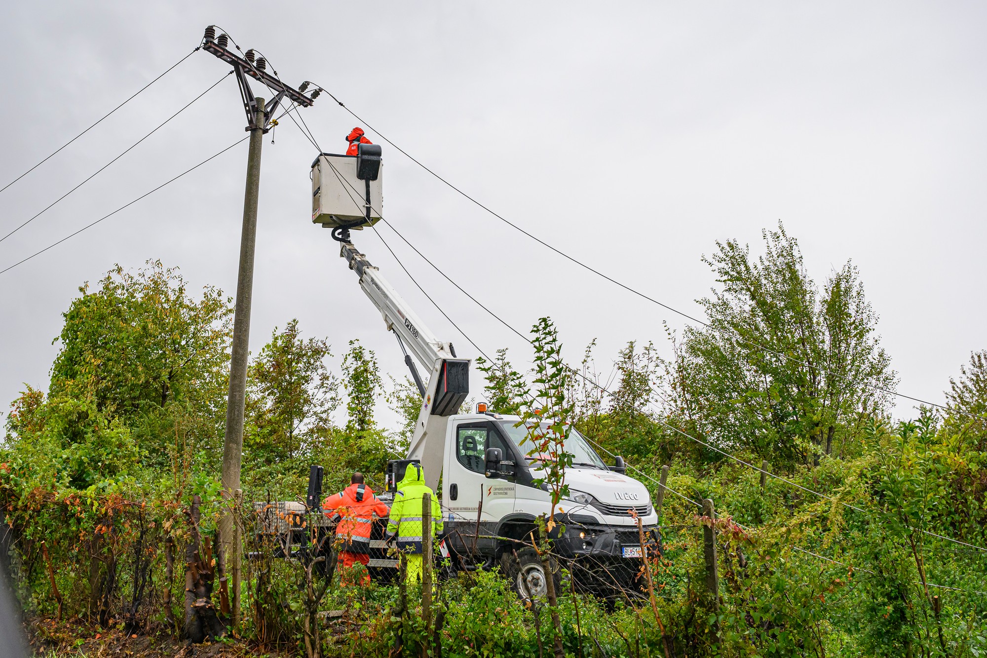 Pracovníci Západoslovenskej distribučnej pri oprave elektrického vedenia po páde stromu na vedenie v Pezinku.