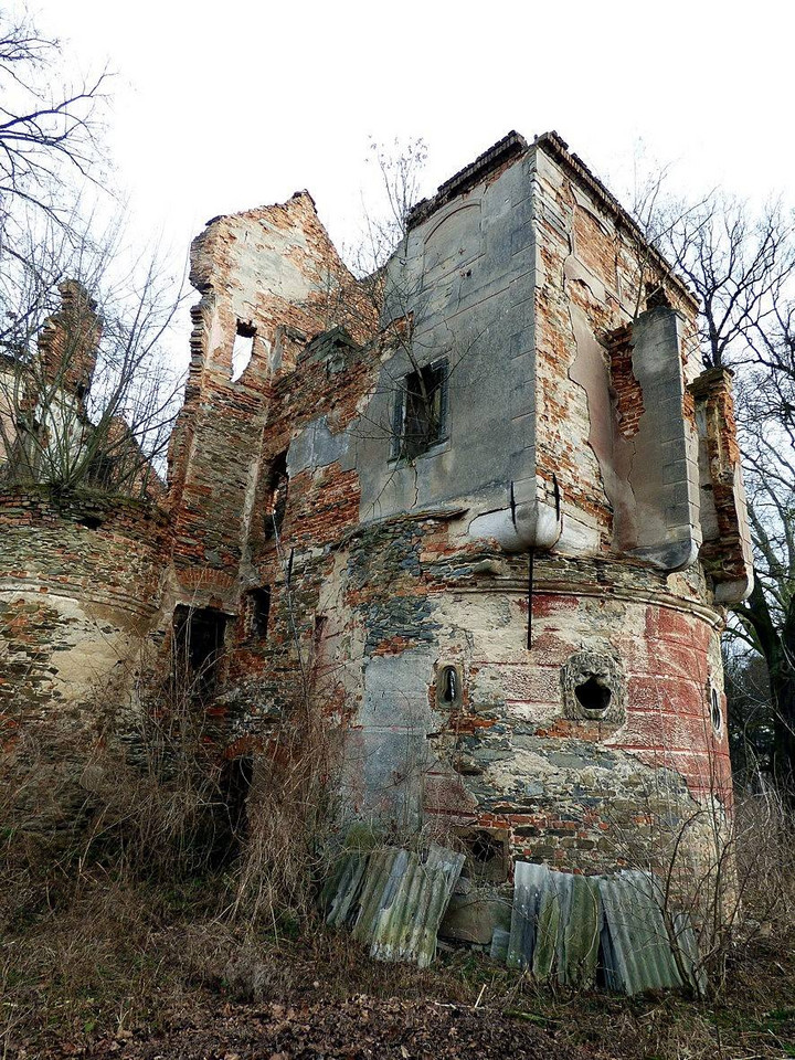 Ruiny Zamku w Pielaszkowicach