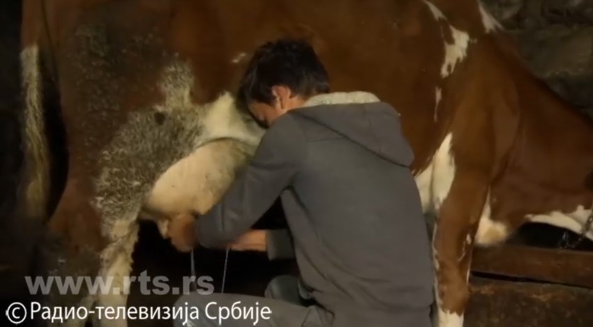 Nikola Petronijević