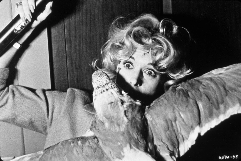 Scena iz jednog od najpoznatijih Hičkokovih ostvarenja "Ptica"