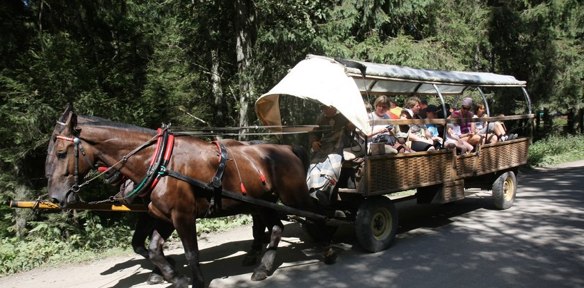 Nad Morskie Oko tylko 4 – osobowymi dorożkami?