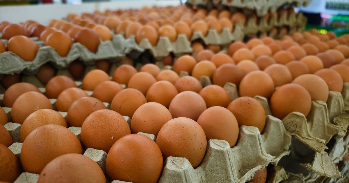 Sklepy wycofują popularne jajka. Zmieni się los milionów kur