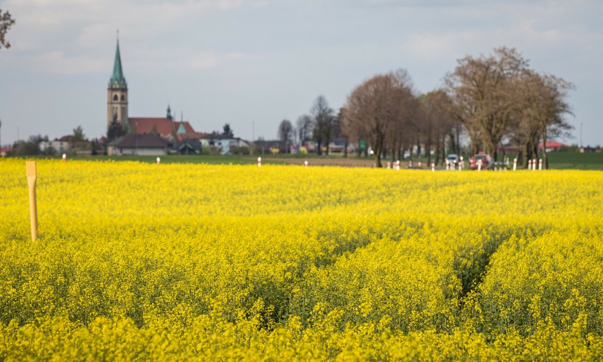 Będzie drugi oficjalny język regionalny w Polsce? Używa go kilkadziesiąt osób