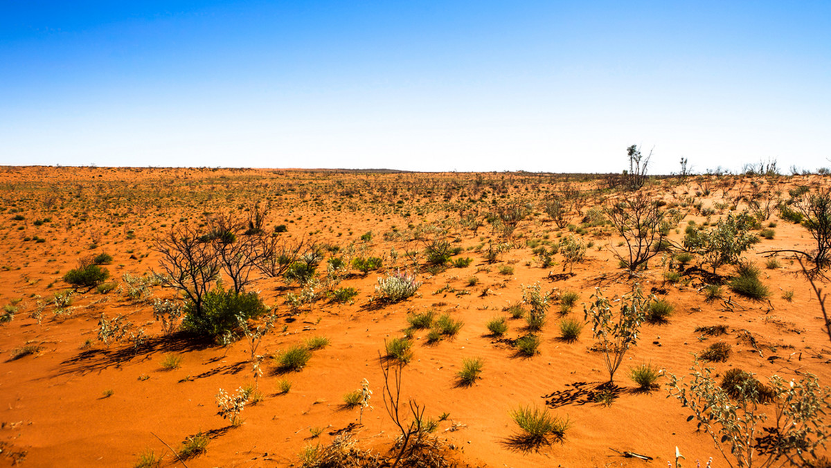 Na australijskiej pustyni, na terenach, gdzie rzadko zapuszczają się nawet podróżnicy i które nie są dostępne dla zmotoryzowanych, znaleziono wykonany z kamieni znak SOS.