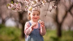 pierwszy dzień wiosny 2026. kiedy zacznie się wiosna?