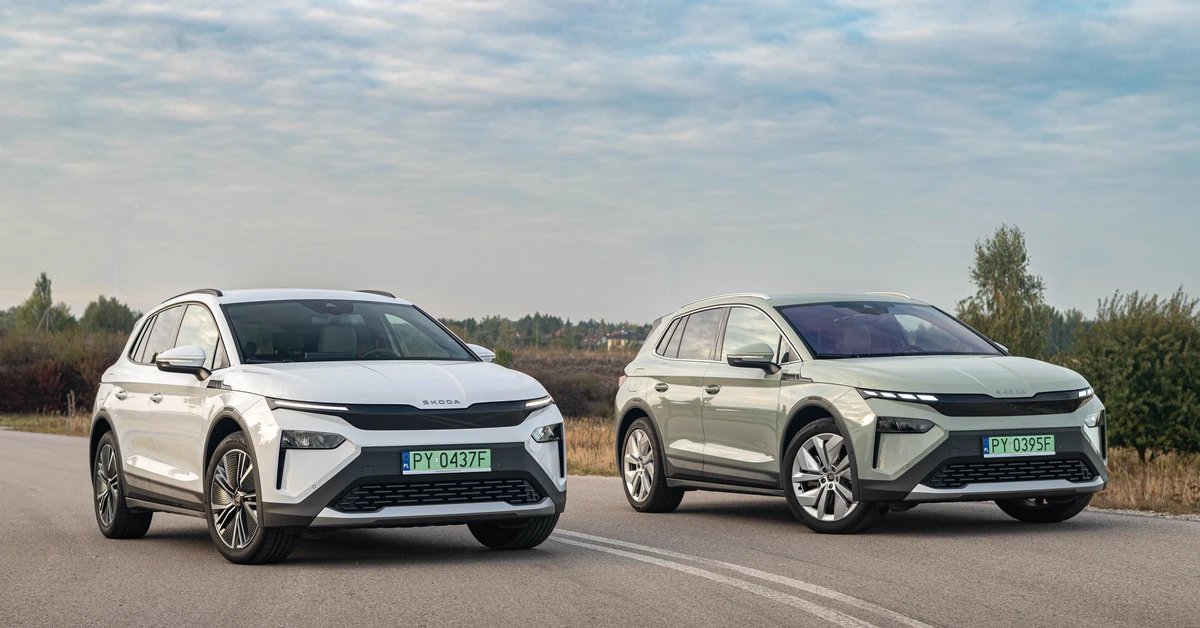 To sensacyjna oferta Skody. Którą wersję wybrać?