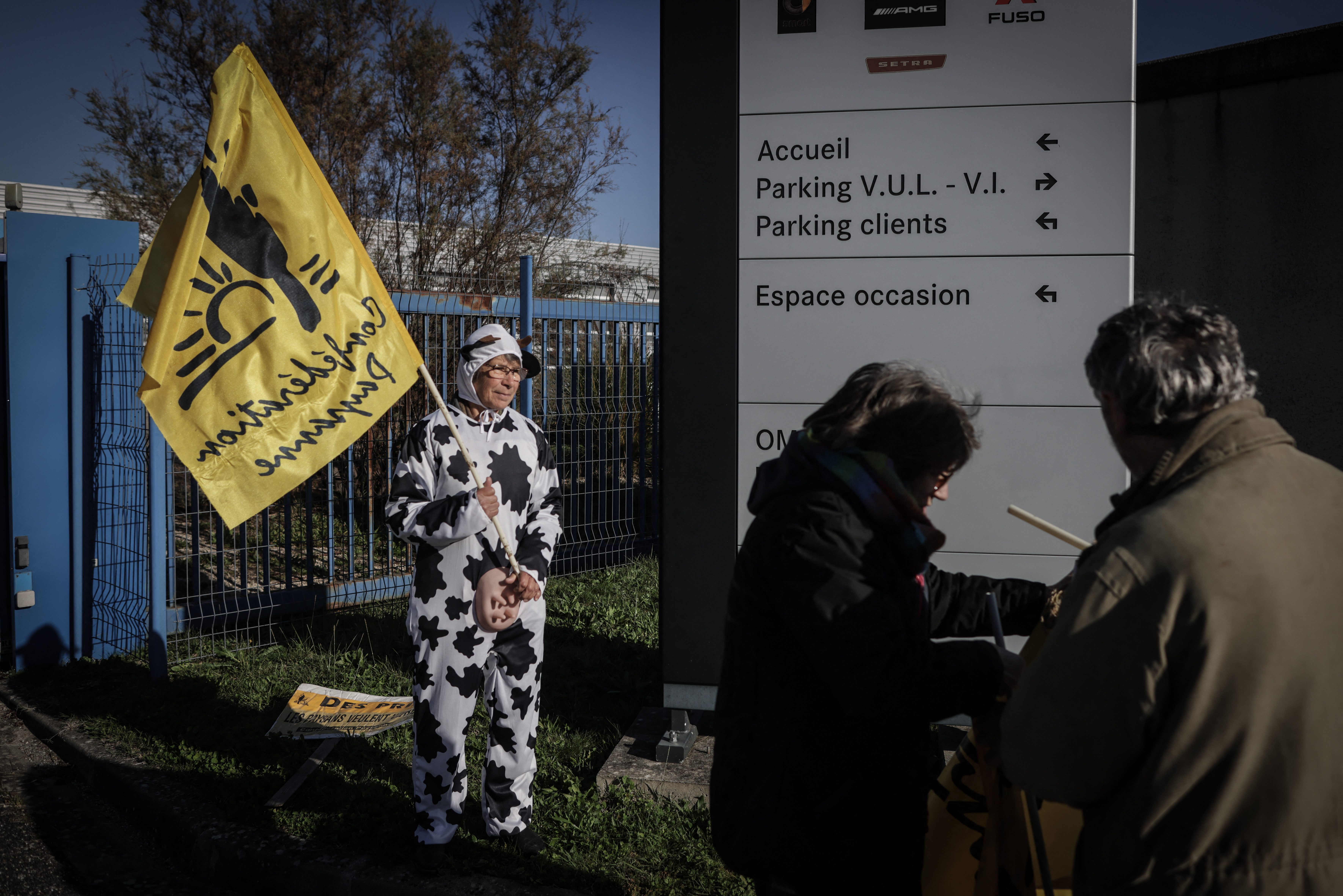 L'État abat 83 vaches immunisées : 'un massacre' selon les éleveurs