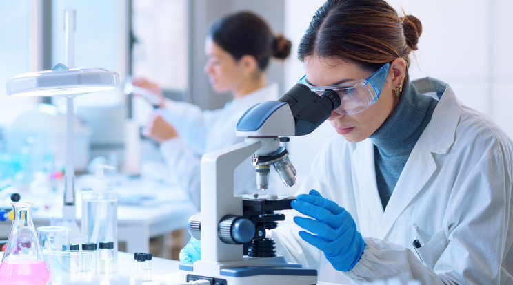 A laboratóriumi kísérleteknél emberi sejteket használtak / fotó: Shutterstock