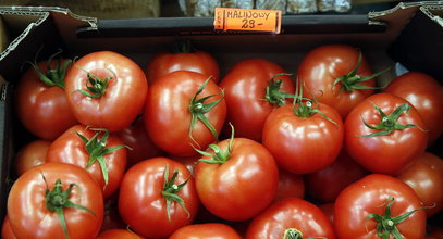 Wzięli pod lupę pomidory z polskich marketów. Zaskakujący wynik badań