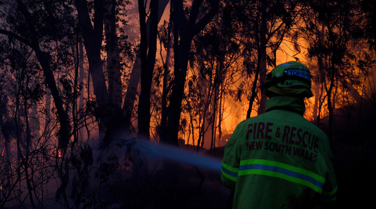 Tűzoltó küzd a lángok megfékezésén az Új-Dél-Wales állambeli Woodford település közelében november 8-án. Ausztráliában. /Fotó: MTI/EPA/AAP/Dan Himbrechts