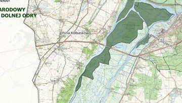 Wodny sen o potędze. Park Narodowy Doliny Dolnej Odry jego pierwszą ofiarą [KOMENTARZ]