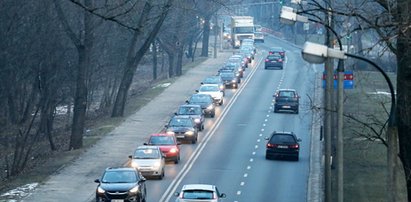 Ekolodzy blokują poszerzenie wybrzeża Helskiego