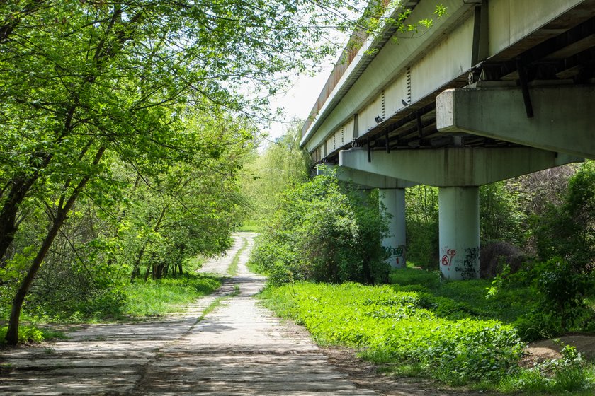 Nowe pomysły na zmiany w miejskiej sieci ścieżek rowerowych