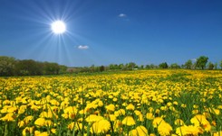 Pierwszy dzień lata 2023. Kiedy jest lato kalendarzowe, astronomiczne i meteorologiczne?